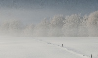 Antatt: Stillhet