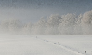 Antatt: Stillhet