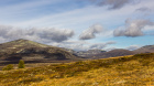 Årbok Dovrefjell