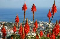 Funchal