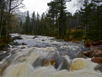 Høst i Åseral