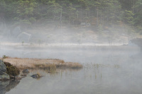 5. plass des 2020 - Frostmorgen i oktober.