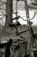 Antatt: Pilen