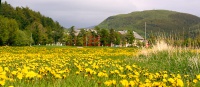 Norland Kultursenter