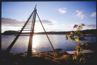 Laksestigen og rogn